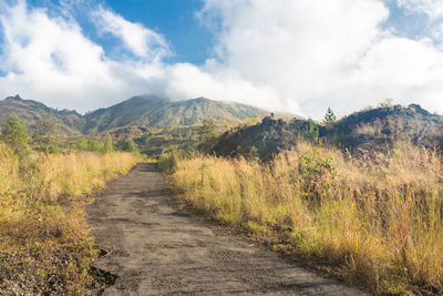 Road amidst green landscape against sky