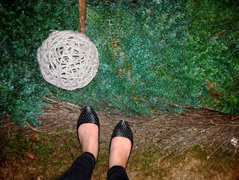 Low section of woman standing on ground