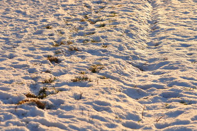 Full frame shot of snow covered land