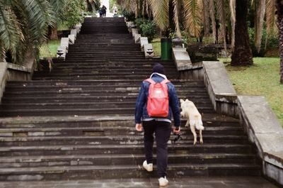 Rear view of man walking on staircase