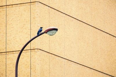 Low angle view of electric lamp