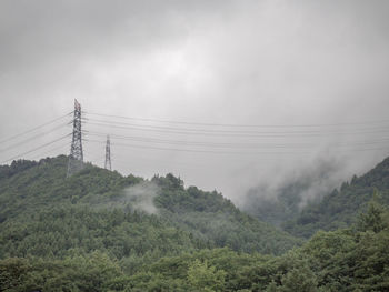 Electricity pylon by trees against sky during foggy weather