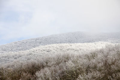 Scenic view of snow covered land against sky