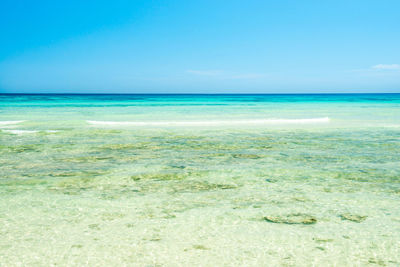 Scenic view of sea against clear blue sky