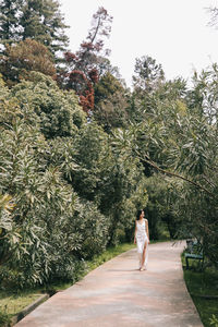 Rear view of woman walking amidst plants against sky