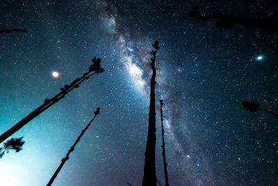 Low angle view of silhouette trees against sky at night