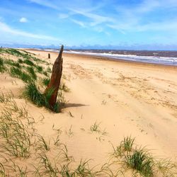 Scenic view of beach against sky