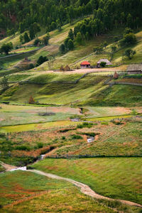 Scenic view of grassland by trees and houses