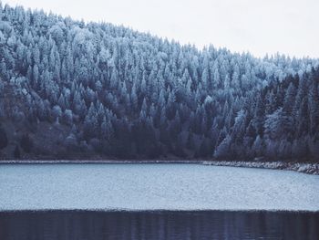 Scenic view of river in forest during winter