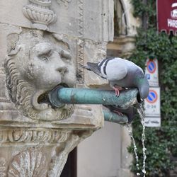 Close-up of statue against wall