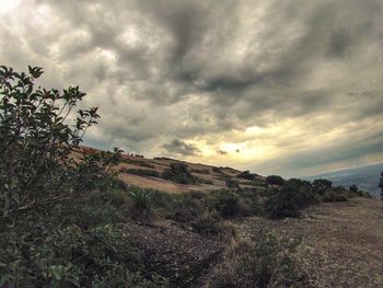 Scenic view of landscape against cloudy sky