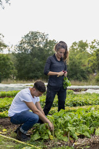 Couple checking beetroots at vegetable patch
