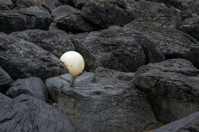 High angle view of ball on rock