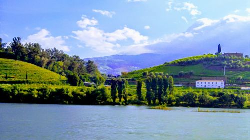 Scenic view of river by trees against sky