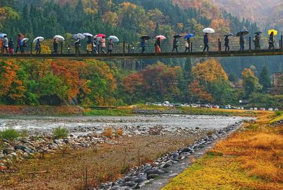 Group of people on road by autumn trees