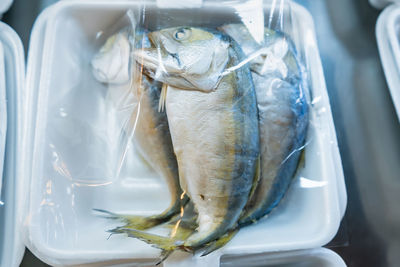 Close-up of fish for sale