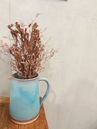 Close-up of plant on table against wall