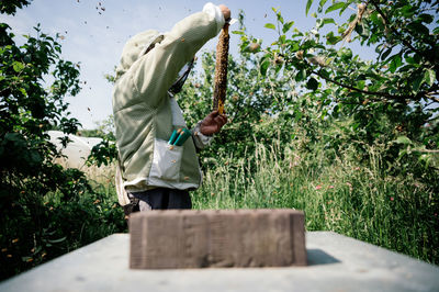 Rear view of woman standing against trees