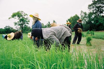 People on agricultural field against sky