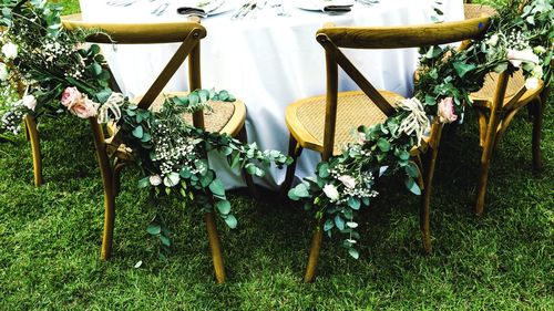 Potted plants hanging on chair in yard