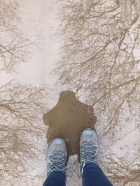 Low section of person standing on land