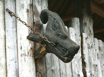 Close-up of horse sculpture on wood