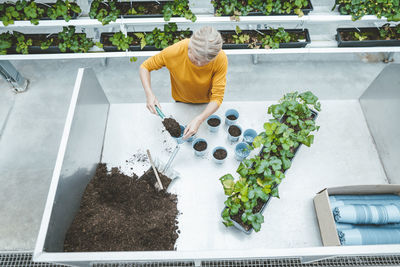 Biologist filling soil in pots at greenhouse