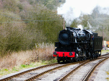 Train on railroad track by trees