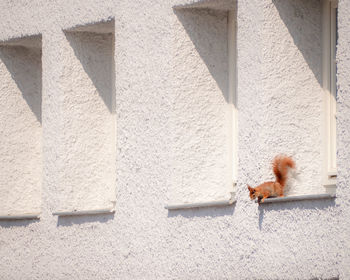 Low angle view of a white wall