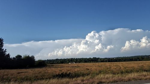 Scenic view of field against sky