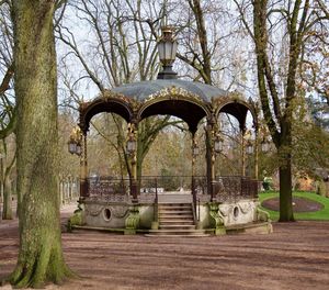 Trees in park