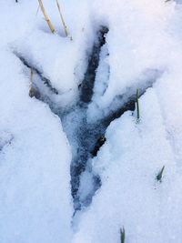 Close-up of frozen ice