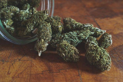 Close-up of plants in jar on table