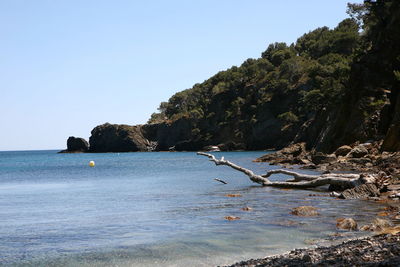 Scenic view of sea against clear sky