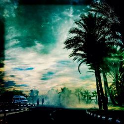 Palm trees against cloudy sky