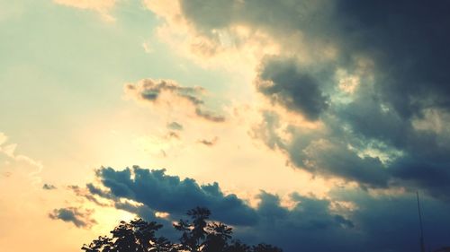 Low angle view of tree against sky during sunset