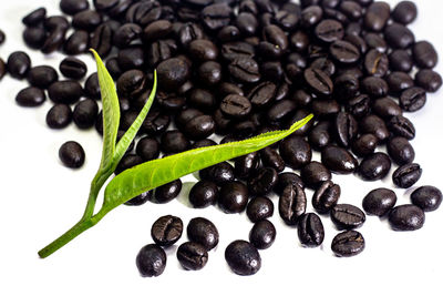 Close-up of coffee beans in background