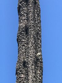 Low angle view of tree against clear blue sky