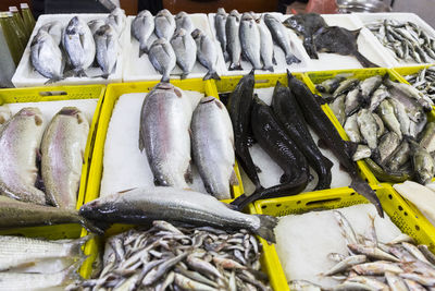 View of fish for sale at market stall