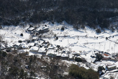 High angle view of trees on field during winter