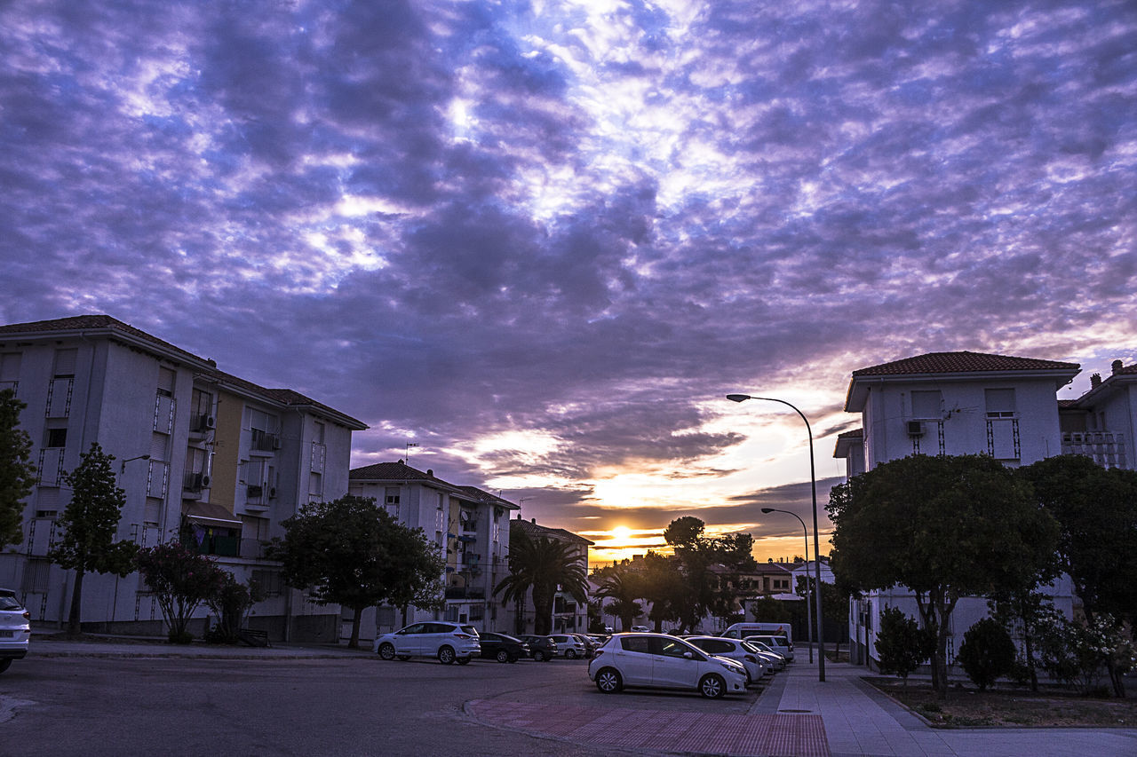 CARS ON STREET AMIDST BUILDINGS AGAINST SKY