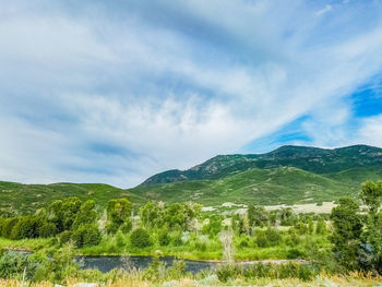 Scenic view of field against sky