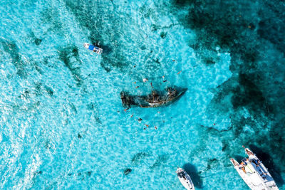 People snorkelling around the ship wreck near bahamas in the caribbean sea.