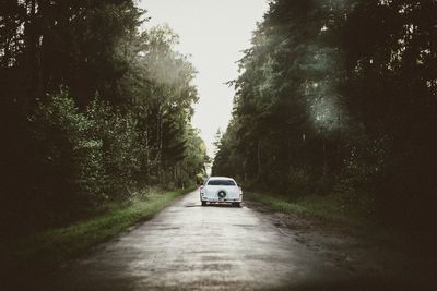 Car on road amidst trees in forest