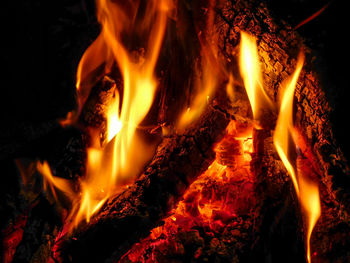 Close-up of bonfire at night