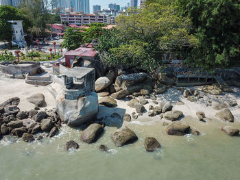 Plants growing on rocks by lake in city