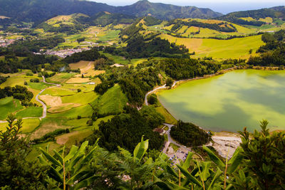 Scenic view of agricultural field