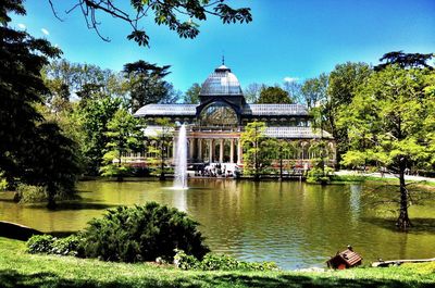 Reflection of trees in pond