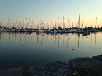 Sailboats in marina