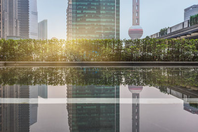 Reflection of trees on swimming pool against buildings in city